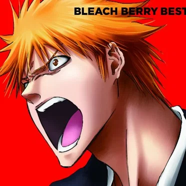 BLEACH BERRY BEST by Various Artists - album cover