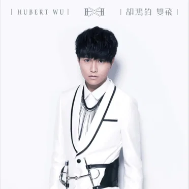 雙飛 by 胡鴻鈞 - album cover