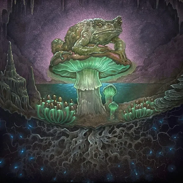 Mycelium Network