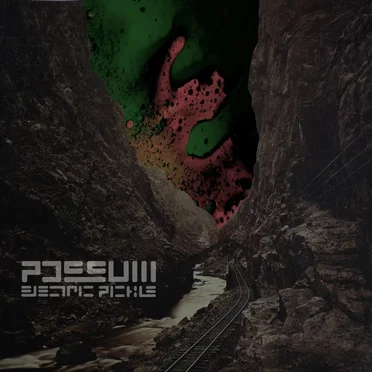 Electric Pickle by Possum - album cover