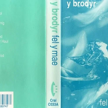 Fel Y Mae by Y Brodyr - album cover