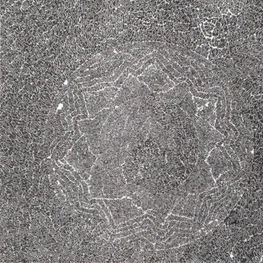 Poppy Nogood and the Phantom Band “All Night Flight”