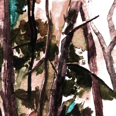 Bark Your Head Off, Dog by Hop Along - album cover