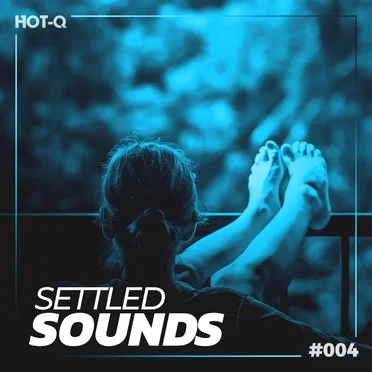 Settled Sounds 004 by Various Artists - album cover