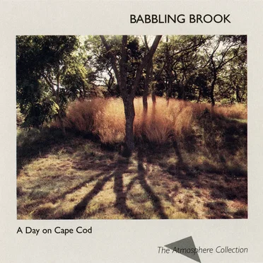 A Day on Cape Cod: Babbling Brook by [nature sounds] - album cover