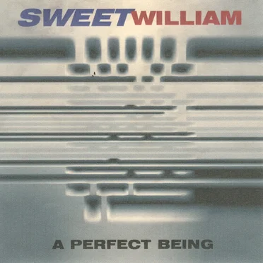 A Perfect Being