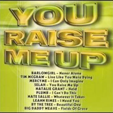 You Raise Me Up by Various Artists - album cover