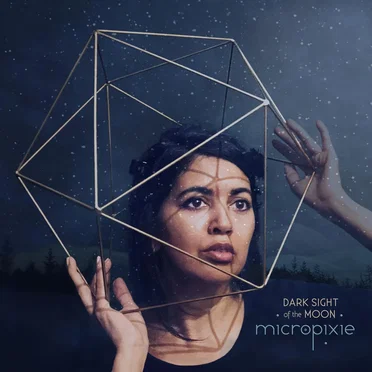 Dark Sight of the Moon by Micropixie - album cover