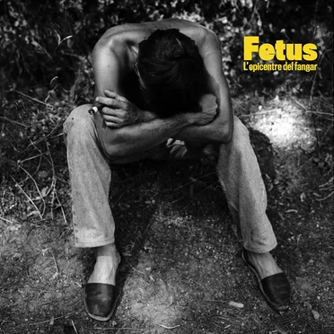 L'epicentre del fangar by Fetus - album cover
