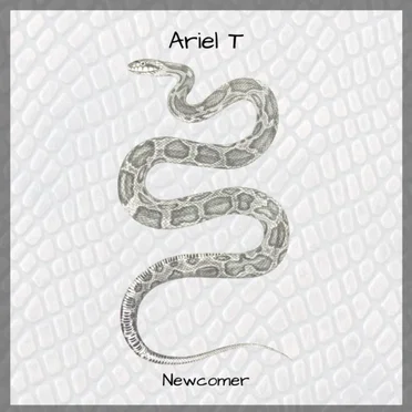 Newcomer