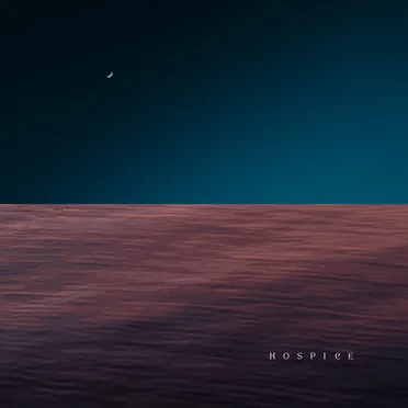 Hospice by Halfloves - album cover