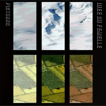 Pictures by Idée du femelle - album cover