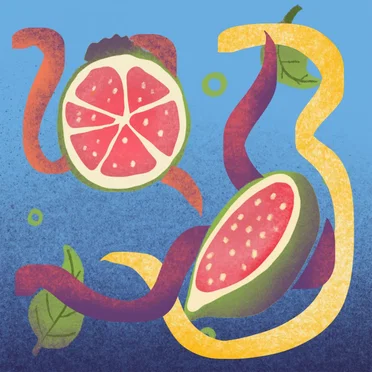Guava Tape