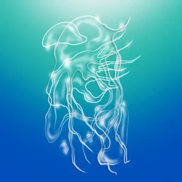 a veil, the sea