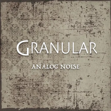 Analog Noise
