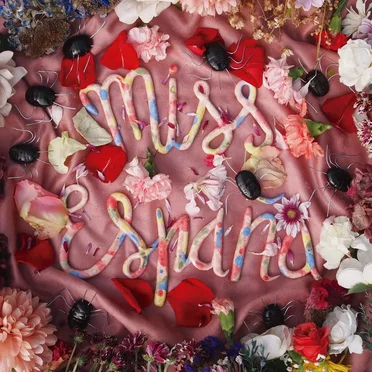 Niebla Mental by Miss España - album cover