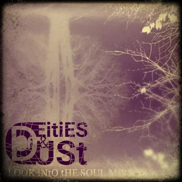 Look Into the Soul Mirror by Of Deities and Dust - album cover