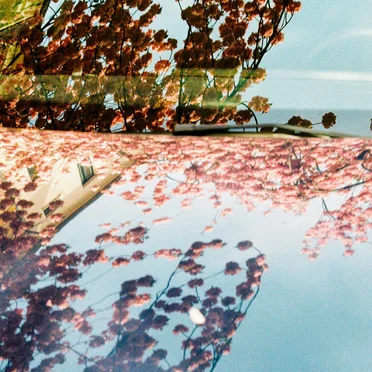 Pleasures / Shallow Water