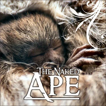 The Naked Ape by Various Artists - album cover