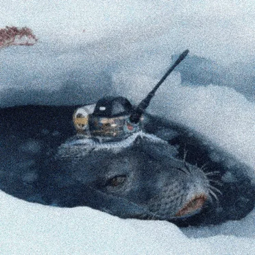 despite the layer of ice between us, i still feel your warmth