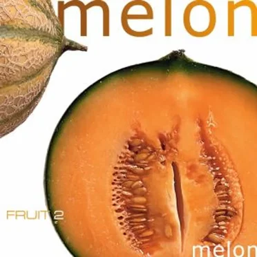 Fruit 2: Melon by Various Artists - album cover