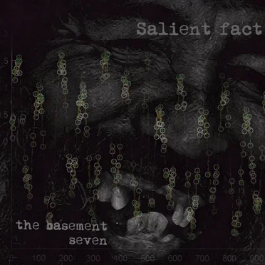 Salient Fact by The Basement Seven - album cover