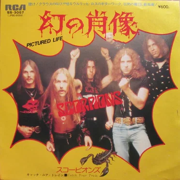 Pictured Life / Catch Your Train