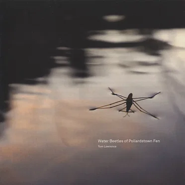 Water Beetles of Pollardstown Fen by Tom Lawrence - album cover