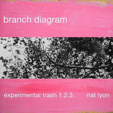 Branch Diagram