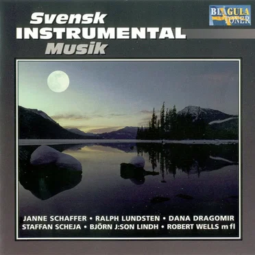 Svensk instrumental musik by Various Artists - album cover