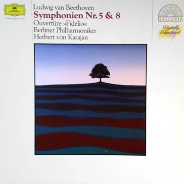 Symphonien Nr. 5 & 8