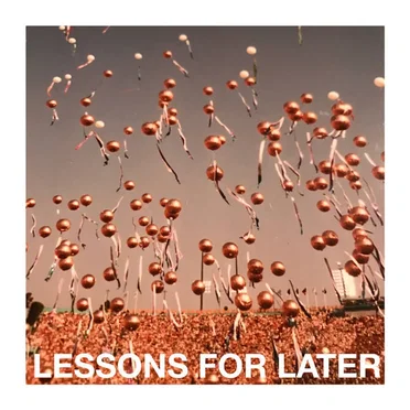 Lessons for Later by Slow Hollows - album cover