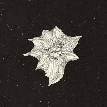 outwardness lost by be water - album cover