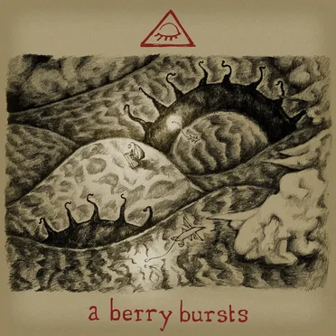 A Berry Bursts by matthew hidden - album cover