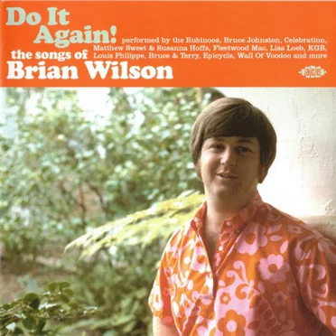 Do It Again! The Songs of Brian Wilson by Various Artists - album cover