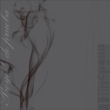 Proyecto de Prueba & Void>Null by Proyecto de Prueba - album cover