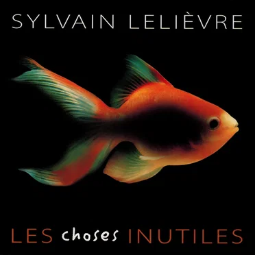 Sylvain Lelièvre