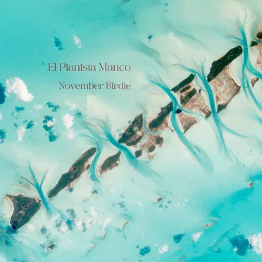 November Birdie by El Pianista Manco - album cover