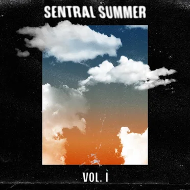 Sentral Summer Vol. I by Paladyn - album cover