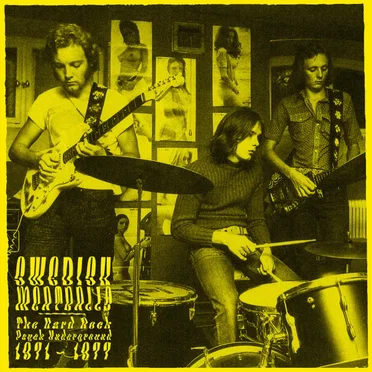 Swedish Meatballs The Hard Rock Psych Underground 1971 - 1977 by Various Artists - album cover