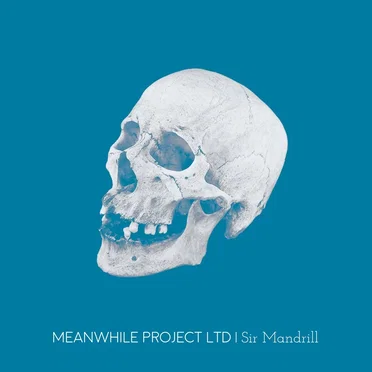 Sir Mandrill by Meanwhile Project Ltd - album cover