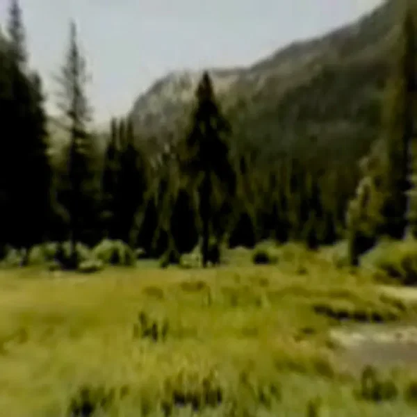 Outlands