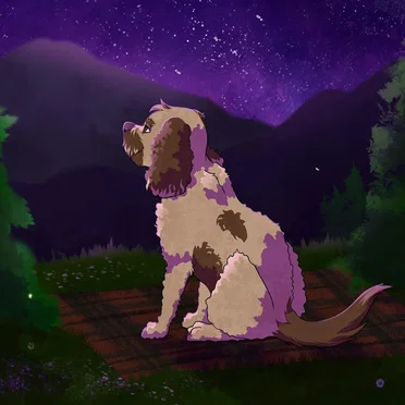 Stargazing [Canvas remix]
