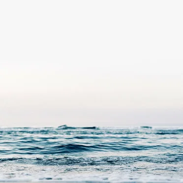 Пепельный день