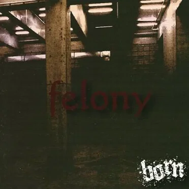 felony by born - album cover