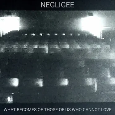 What Becomes of Those of Us Who Cannot Love