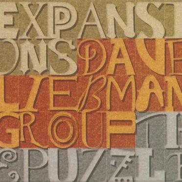 The Puzzle by Expansions: The Dave Liebman Group - album cover