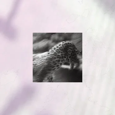 One by Backbone - album cover