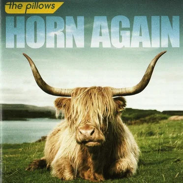 HORN AGAIN
