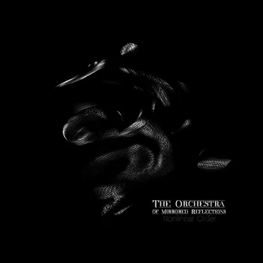 Nonlinear Order by The Orchestra of Mirrored Reflections - album cover